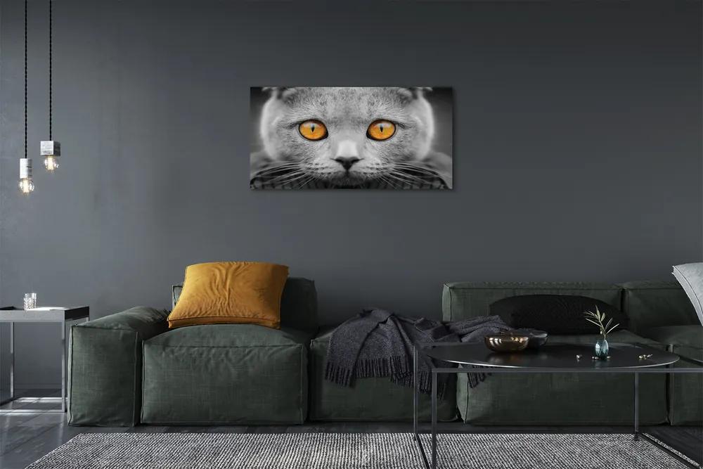Obraz na plátne Sivá Britská mačka 140x70 cm