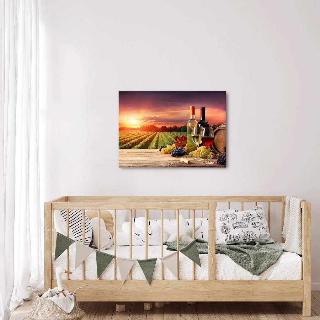 Obraz vinice s vínom (70x50 cm)