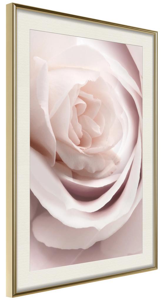 Artgeist Plagát - Porcelain Rose [Poster] Veľkosť: 20x30, Verzia: Zlatý rám
