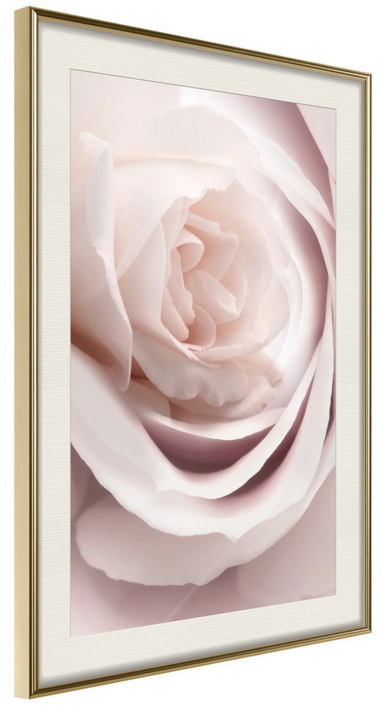 Artgeist Plagát - Porcelain Rose [Poster] Veľkosť: 40x60, Verzia: Zlatý rám s passe-partout