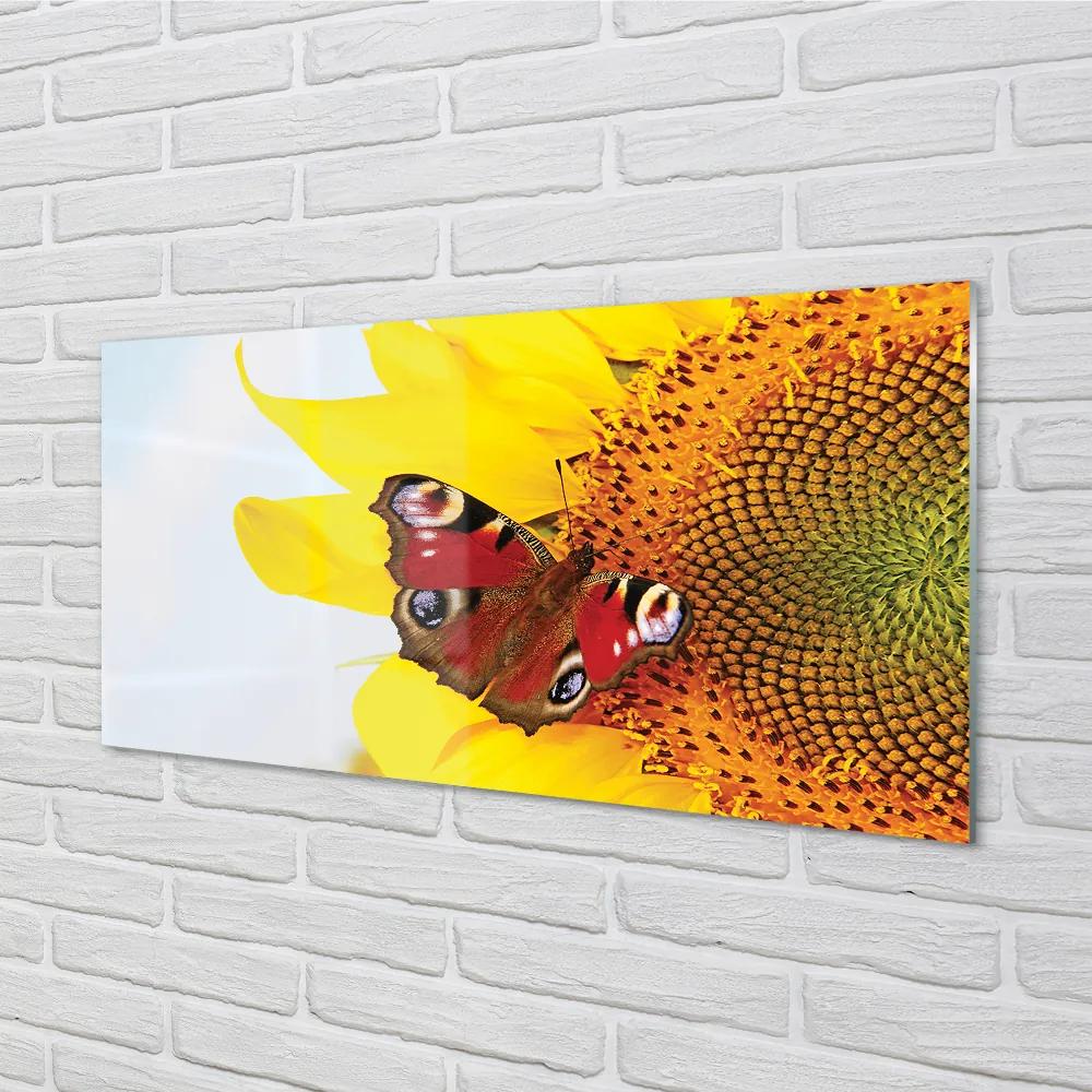 Obraz na akrylátovom skle Slnečnica motýľ 100x50 cm