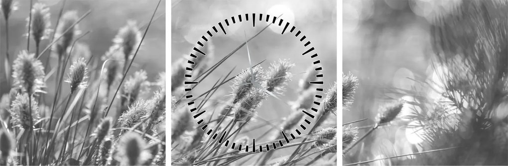 Obraz - Béžová soft grass N⁰1 (s hodinami) (90x30 cm)