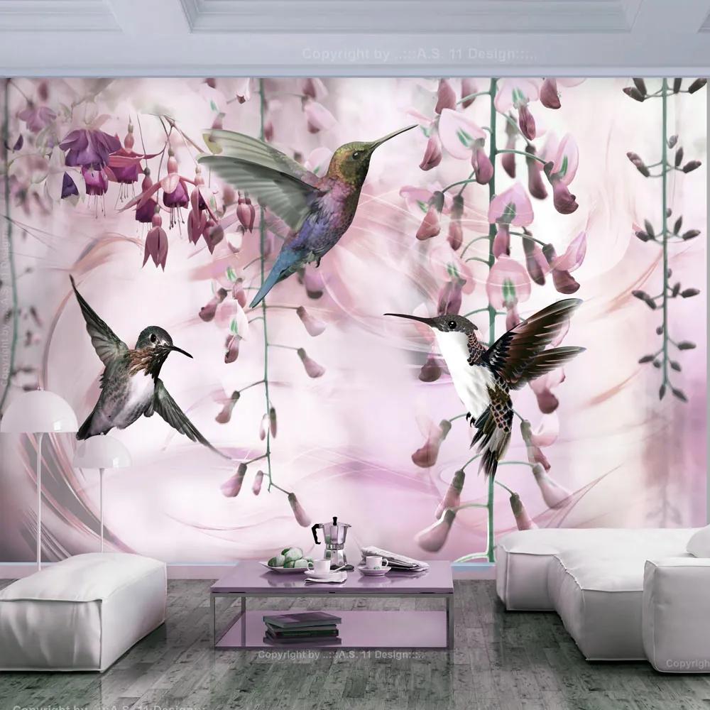 Fototapeta - Lietajúce kolibríky (ružové)   + zadarmo lepidlo