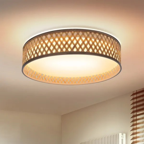 Brilagi - LED Stmievateľné stropné svietidlo CAMILA LED/48W/230V 3000-6500K + DO