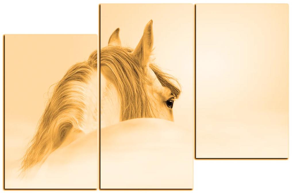 Obraz na plátne - Andalúzsky kôň v hmle 1219FD (135x90 cm)