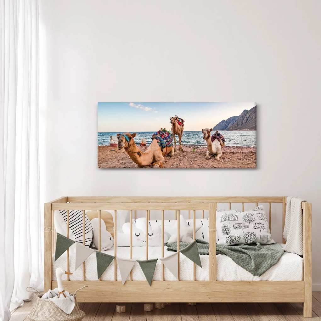 Obraz tiav (120x50 cm)