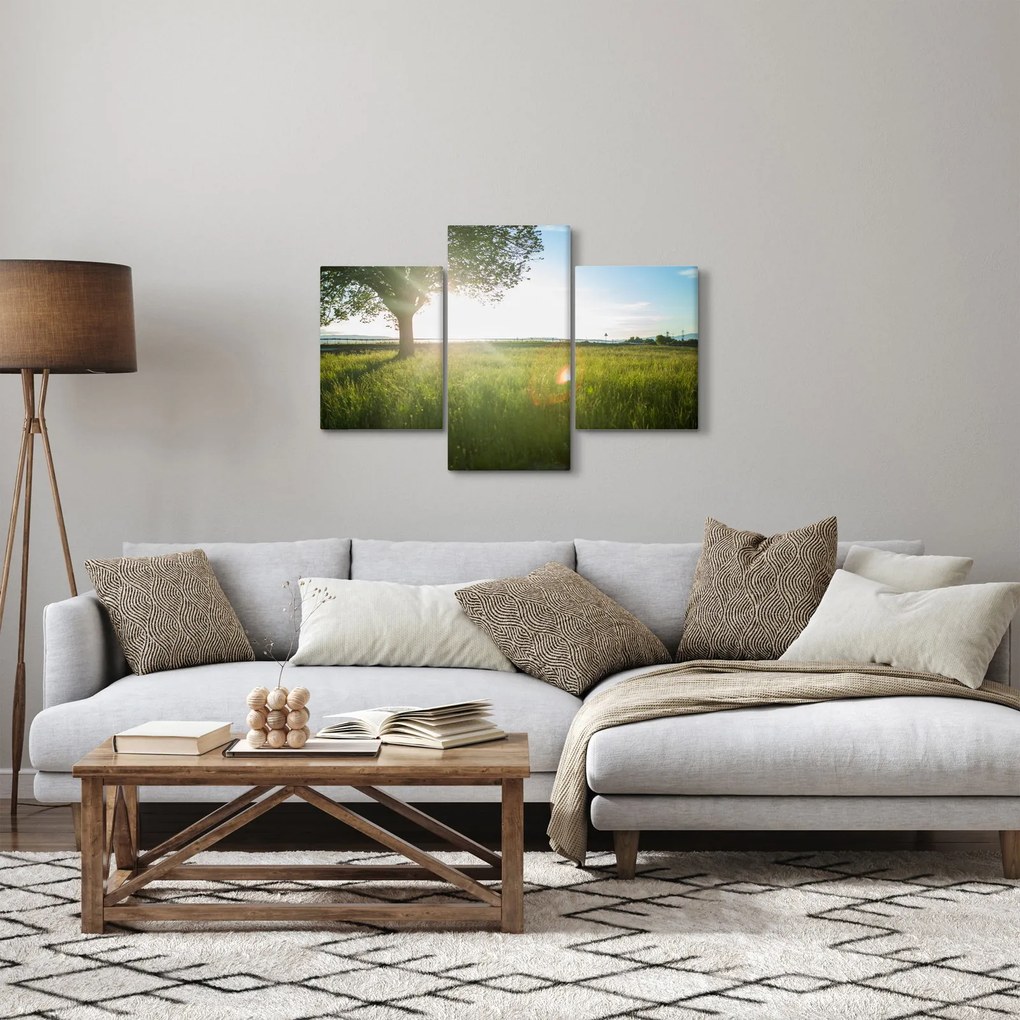 Obraz stromu v poli (90x60 cm)
