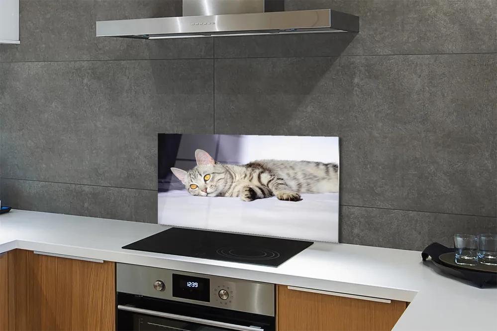 Nástenný panel  ležiace mačka 140x70 cm