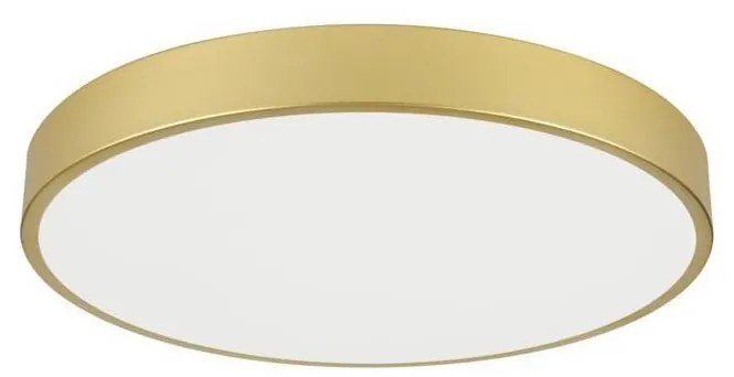 Immax NEO 07293L - LED+CCT stmievateľné stropné svietidlo SEMPLICI 60W/230V, priemer 60 cm + diaľkový ovládač