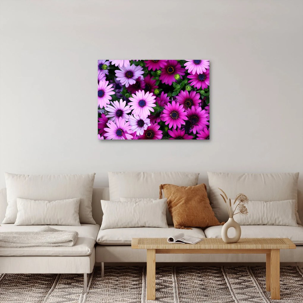 Obraz - Kvety (70x50 cm)