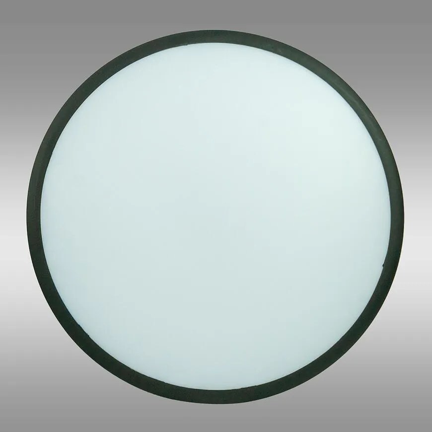 Stropnica LARA MAX VO2541 24W 4000K BLACK PL1