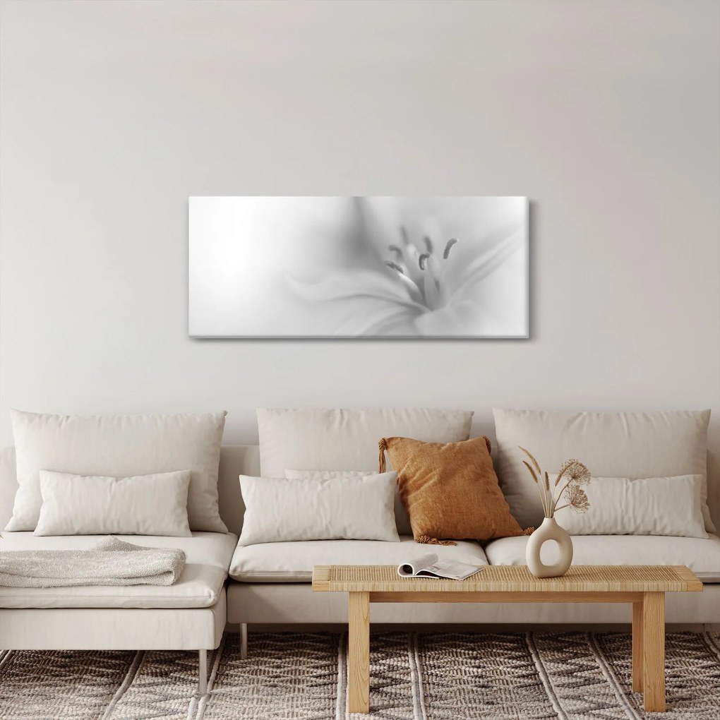 Obraz - Jemná ľalia (120x50 cm)