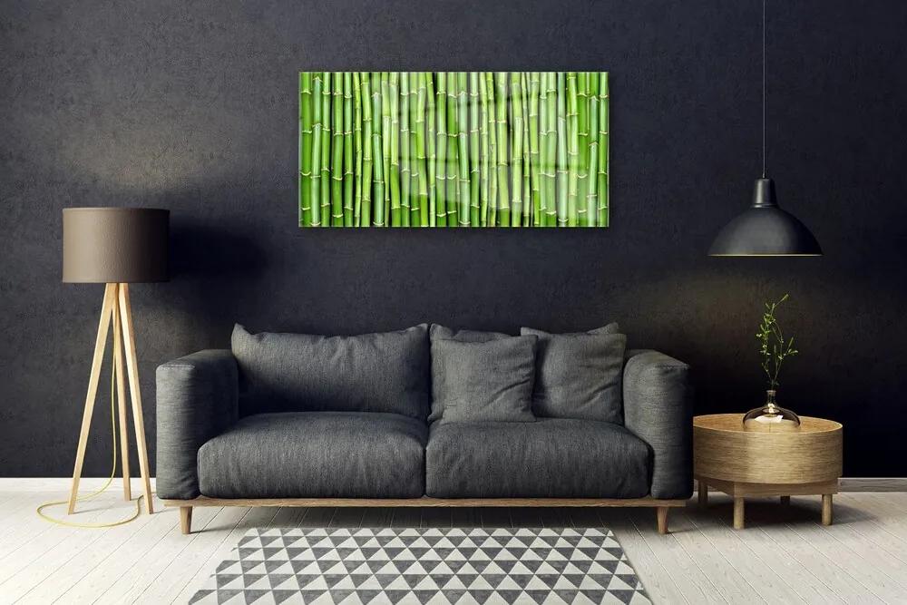 Obraz na skle Bambus kvet rastlina 120x60 cm