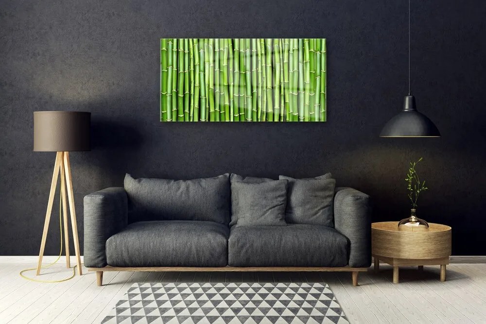 Obraz na skle Bambus kvet rastlina 140x70 cm