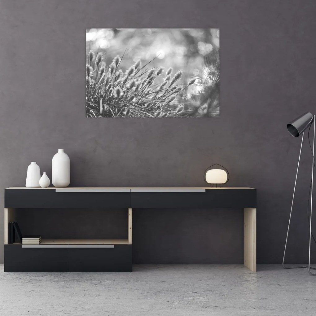 Obraz - Béžová soft grass N⁰1 (90x60 cm)