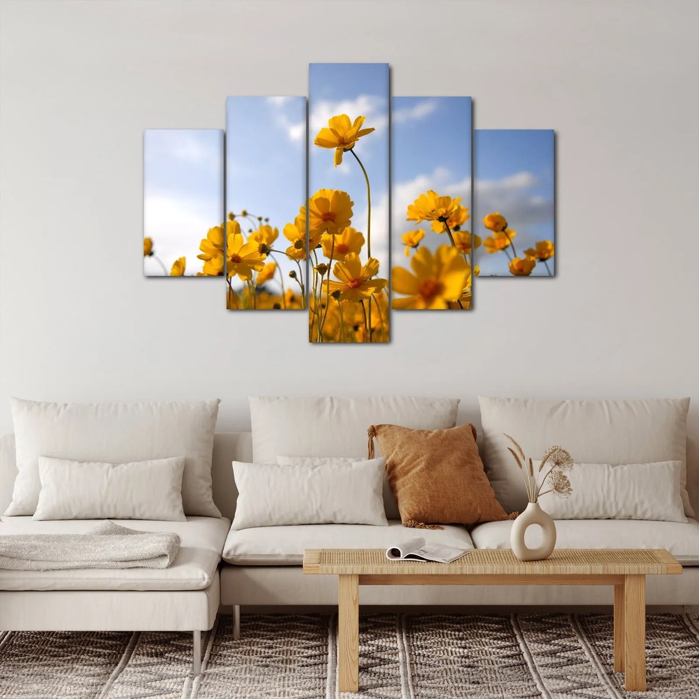 Obraz poľa s jasne žltými kvetmi (150x105 cm)