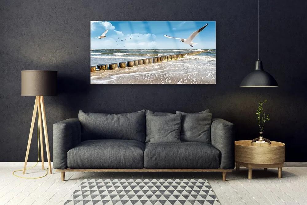 Obraz plexi Čajky more príroda 120x60 cm