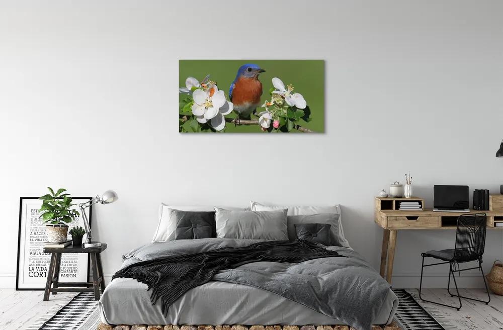 Obraz na plátne Kvety farebné papagáj 120x60 cm