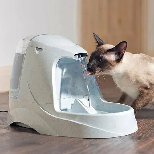 PetSafe® Platinum Fontánka 5l
