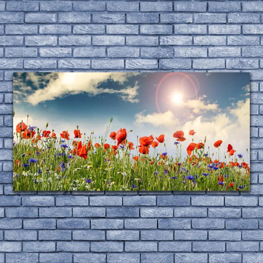 Obraz plexi Lúka kvety slnko príroda 120x60 cm