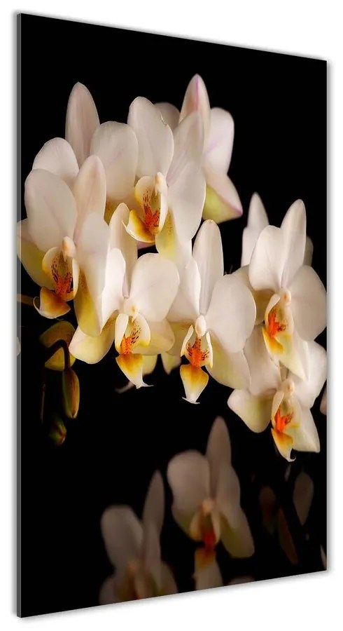 Foto obraz akrylový na stenu Orchidea pl-oa-60x120-f-95410450