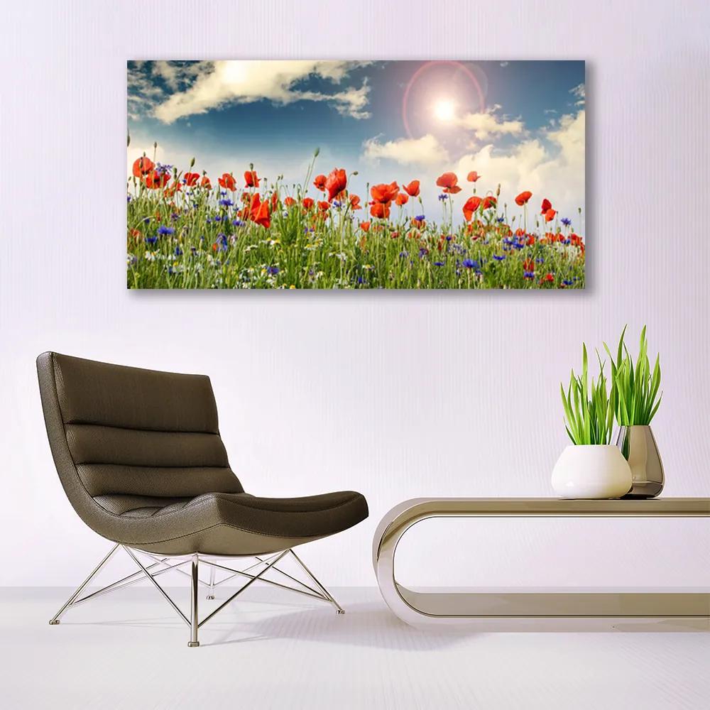 Obraz plexi Lúka kvety slnko príroda 120x60 cm