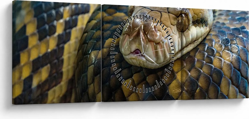 Obraz - Pytón (s hodinami) (90x30 cm)