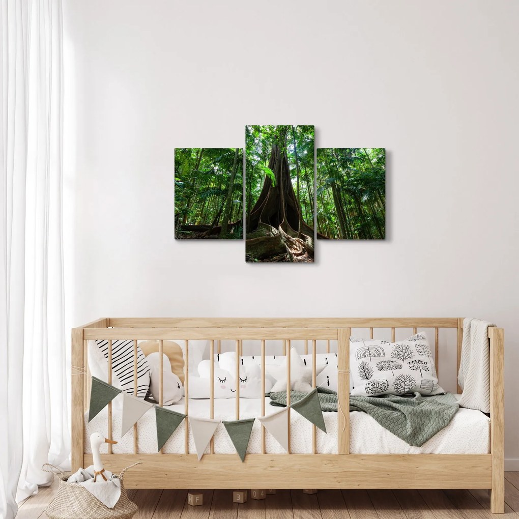 Obraz - Korene stromu (90x60 cm)