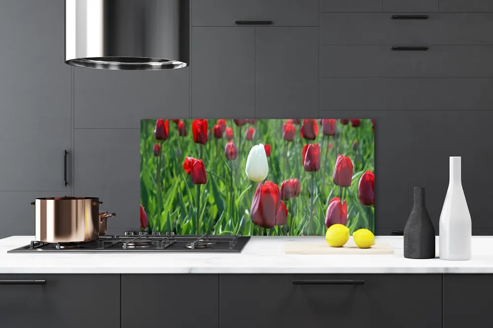 Sklenený obklad Do kuchyne Tulipány kvety príroda 100x50 cm