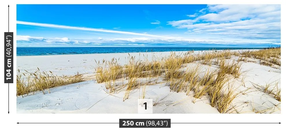 Fototapeta Vliesová Morské duny 208x146 cm