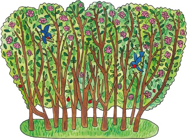 MARIONETINO – Šípkový ker – kulisa k bábkovému divadlu