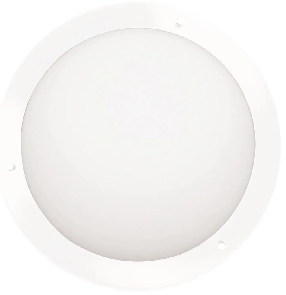 CLX Stropné LED osvetlenie do kúpeľne EMILIO, 10W, studená biela, 31cm, okrúhle, biele, IP44