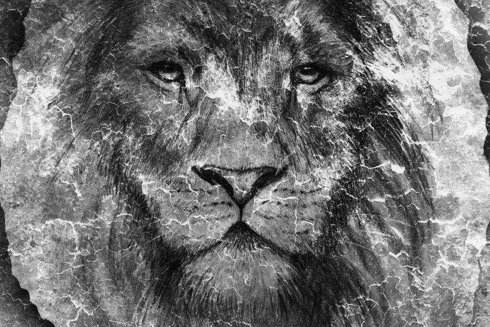 Obraz tvár leva v čiernobielom prevedení Varianta: 120x80
