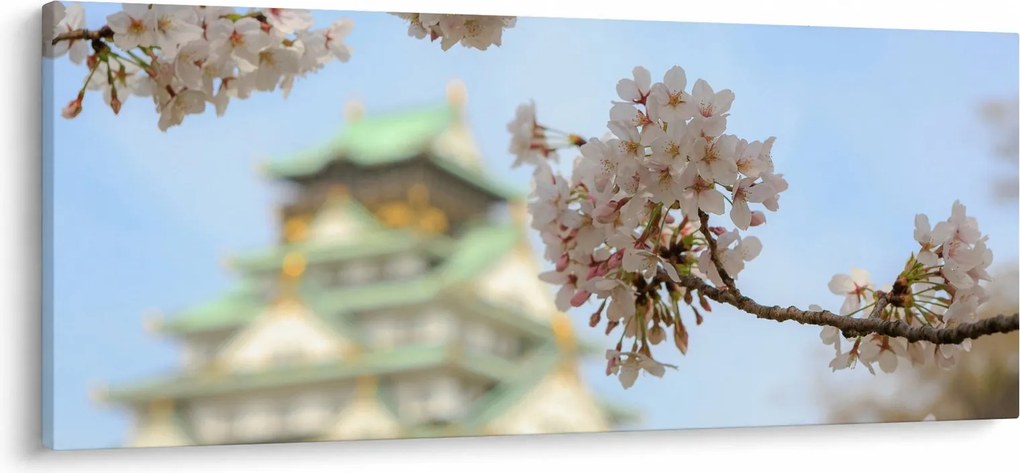 Obraz - Sakura (120x50 cm)