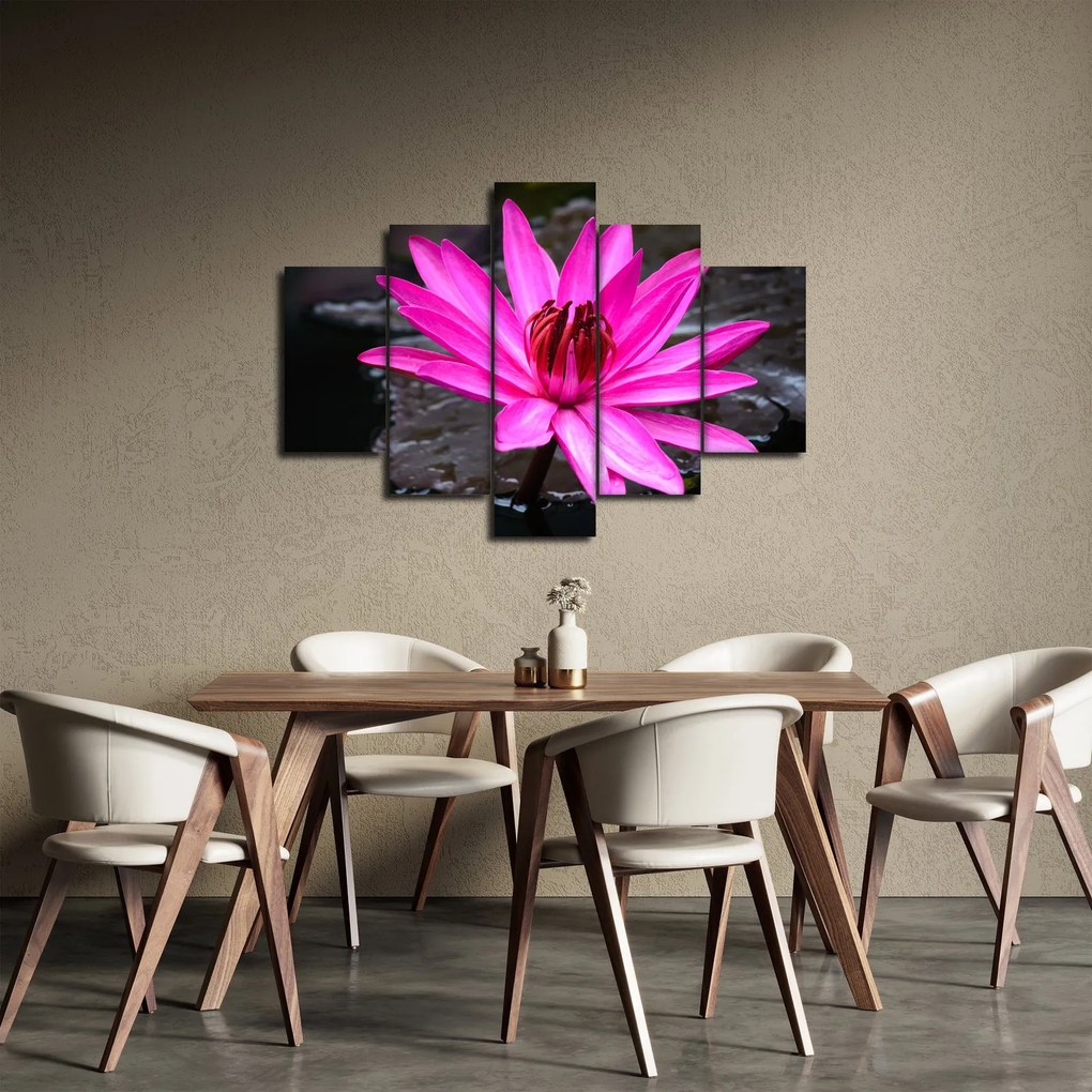 Obraz - ružový kvet (150x105 cm)