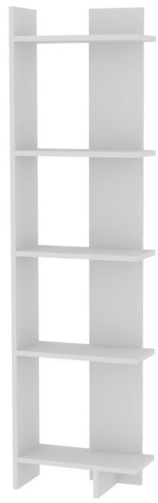Knižnica Als White