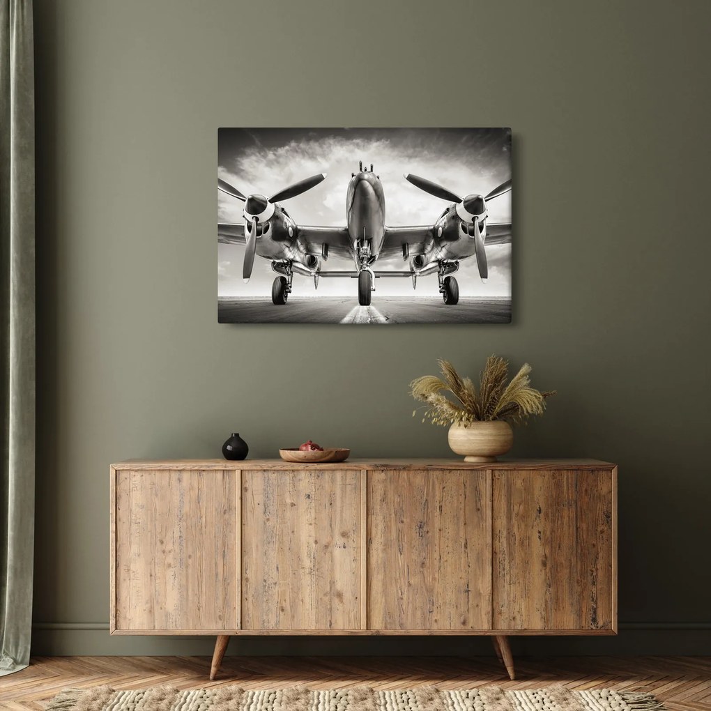 Obraz - Warbird (90x60 cm)