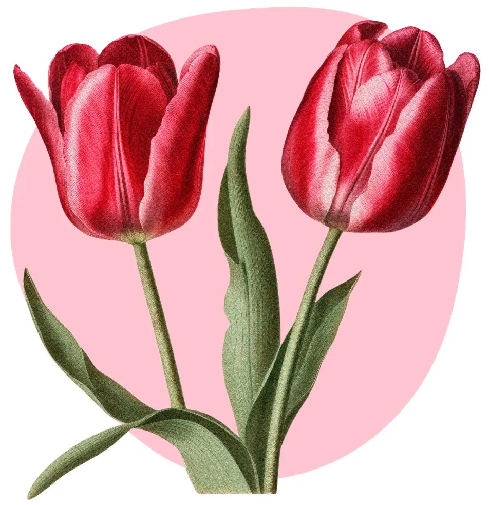 PIPPER. Textilná nálepka na stenu "Tulipány"