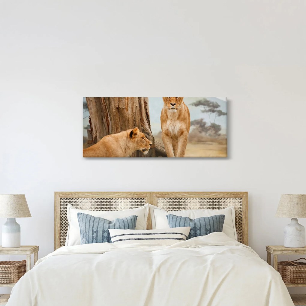 Obraz - dve levice (120x50 cm)