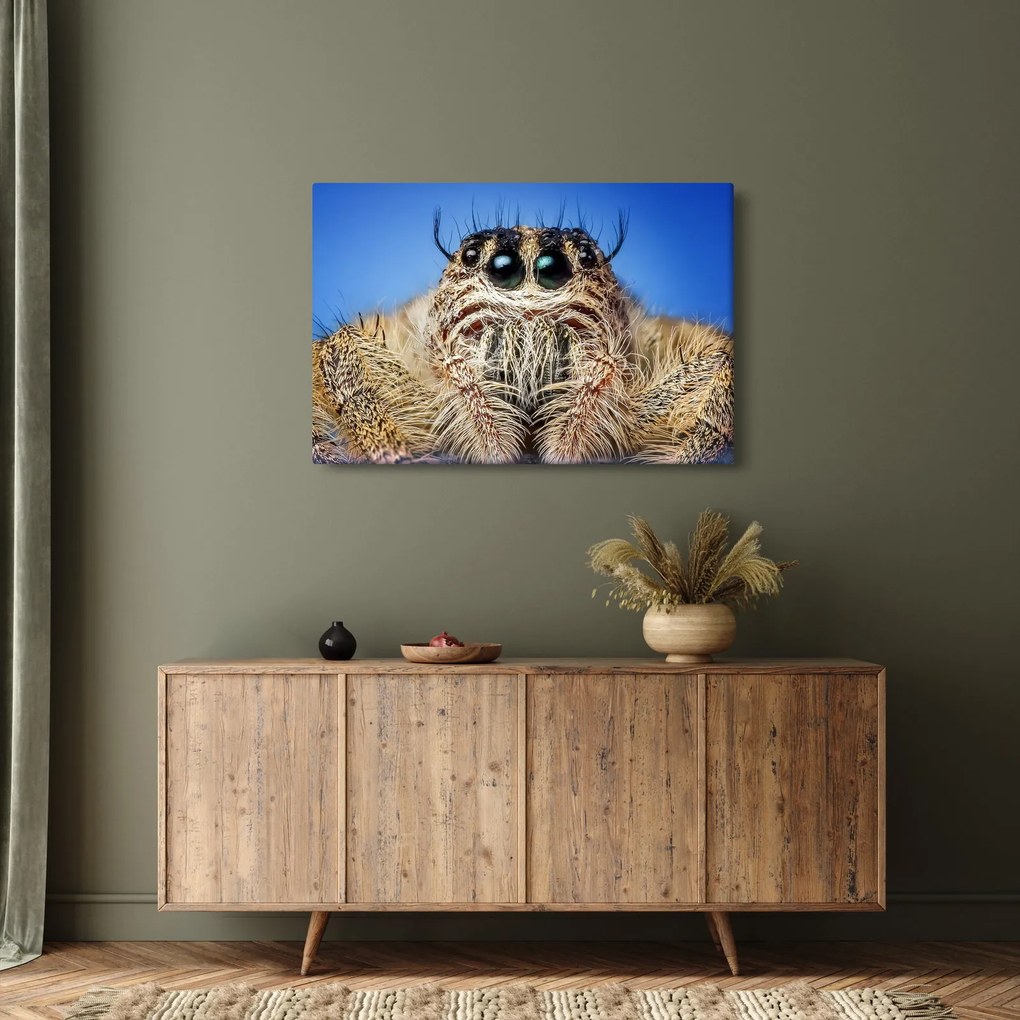 Obraz detailu pavúka (90x60 cm)