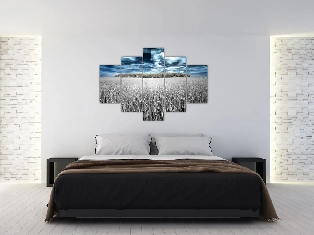 Obraz pole (150x105 cm)