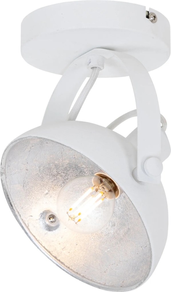 Priemyselné stropné svietidlo biele so striebornou 15 cm nastaviteľné - Magnax