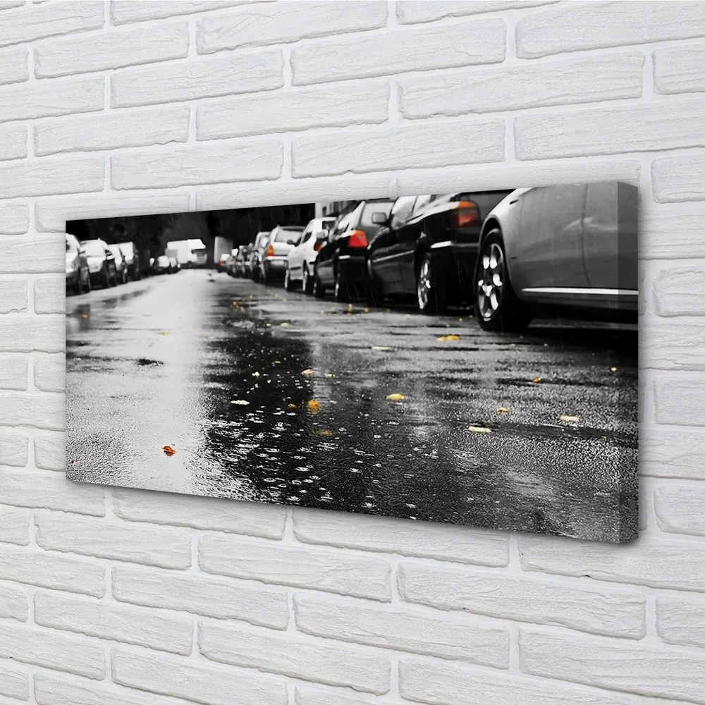 Obraz canvas Car jesenné lístie cesty 120x60 cm