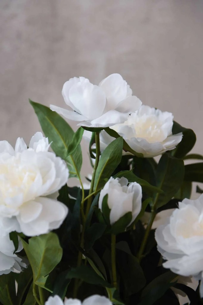 Umelá pivonka v krémovom kvetináči PEONY, výška 70 cm, biela