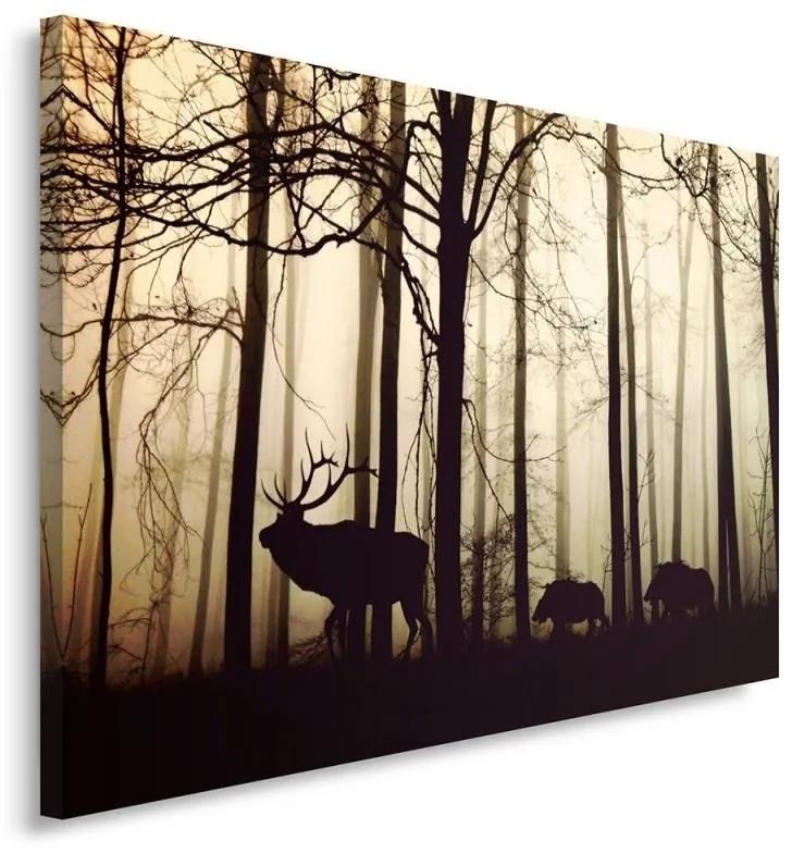 Obraz na plátně, Jelen v lese Fog Brown - 90x60 cm