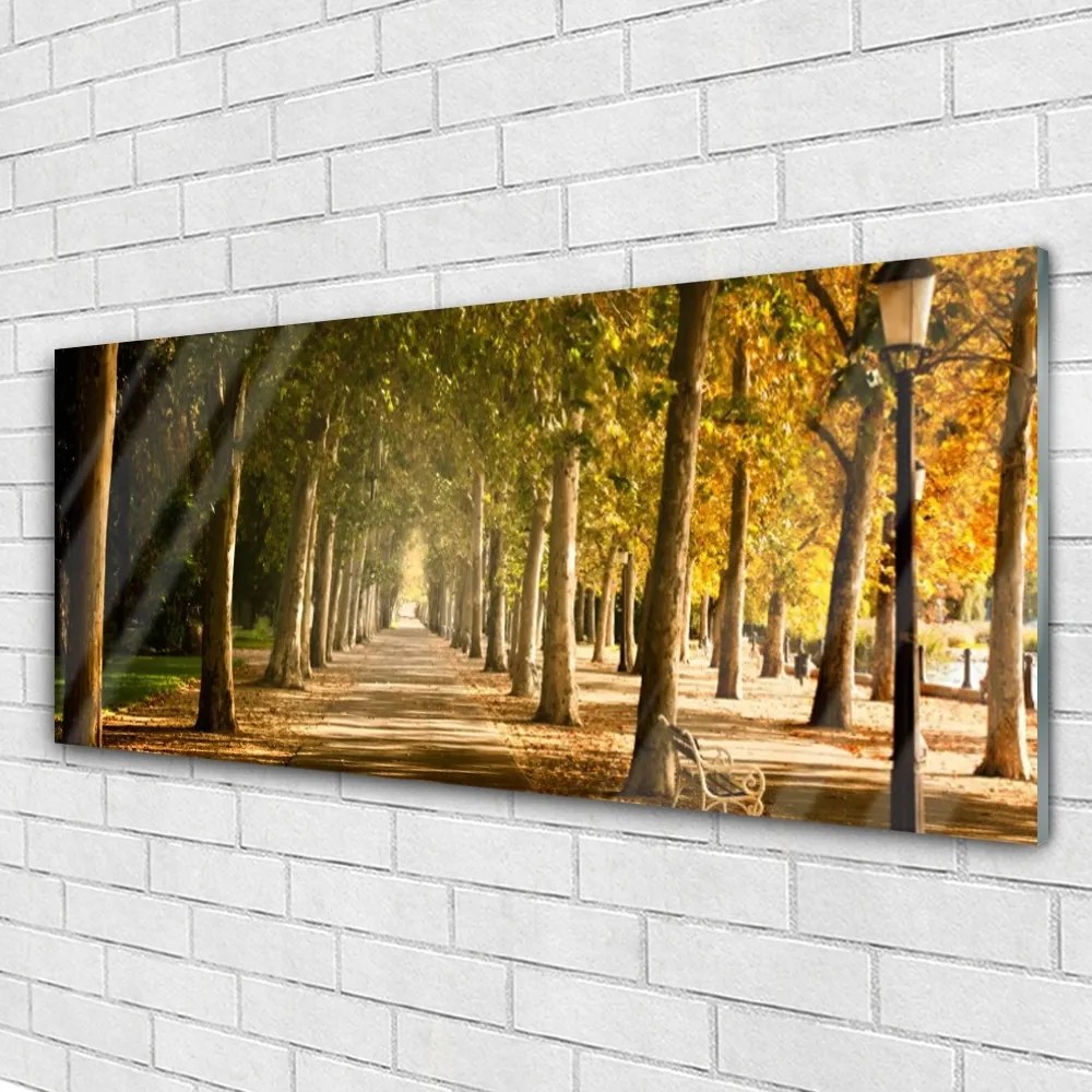 Obraz na akrylátovom skle Park alej príroda 125x50 cm