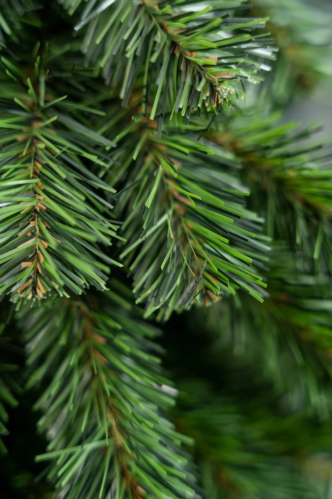 Vianočný stromček- Smrek prírodný na dreve 210 cm