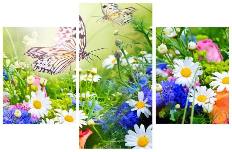 Obraz letných kvetov s motýľom (90x60 cm)
