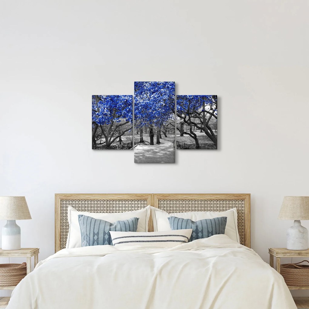 Obrázok - Modré stromy, Central Park, New York (90x60 cm)