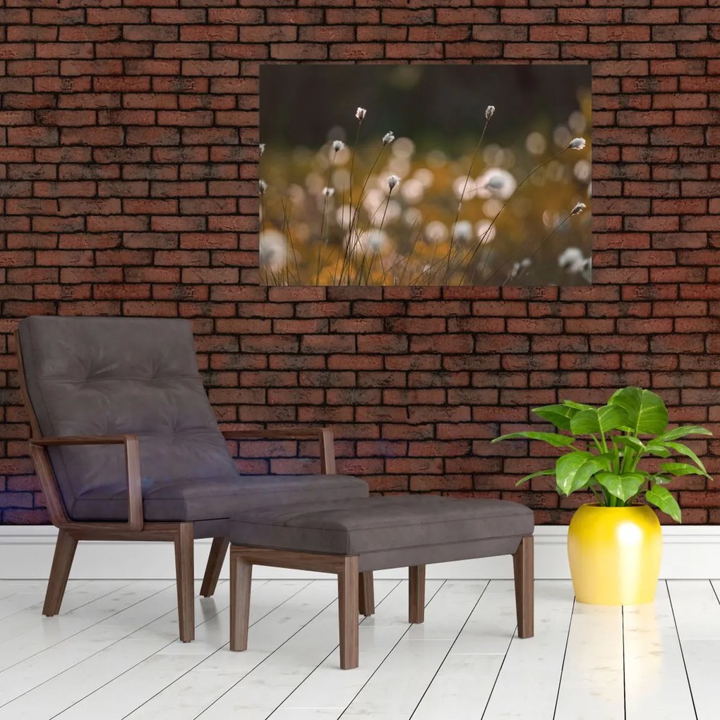 Obraz - Lúka s cottongrass N⁰2 (90x60 cm)